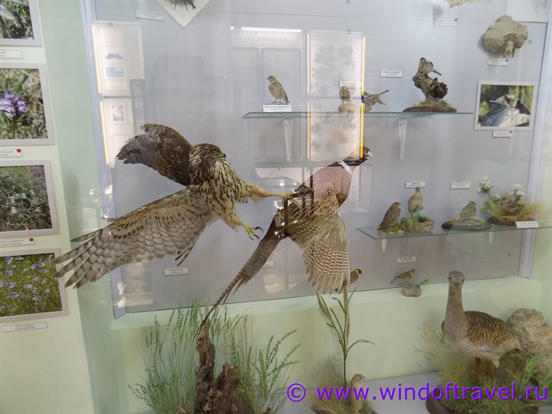 Музей природы Карадага в Коктебеле
