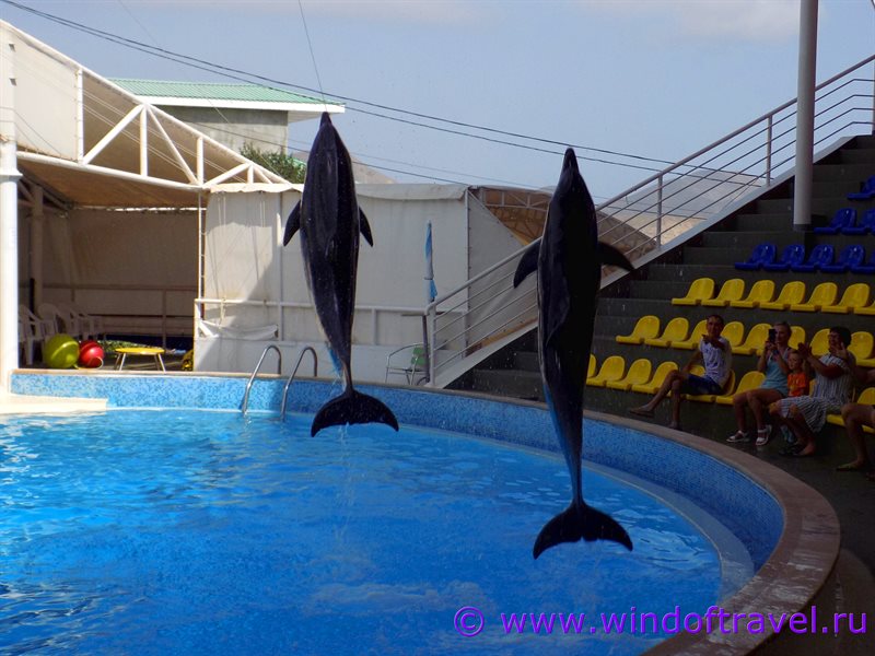 Дельфинарий в Коктебеле