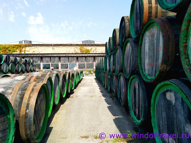 Экскурсия на завод марочных вин в Коктебеле